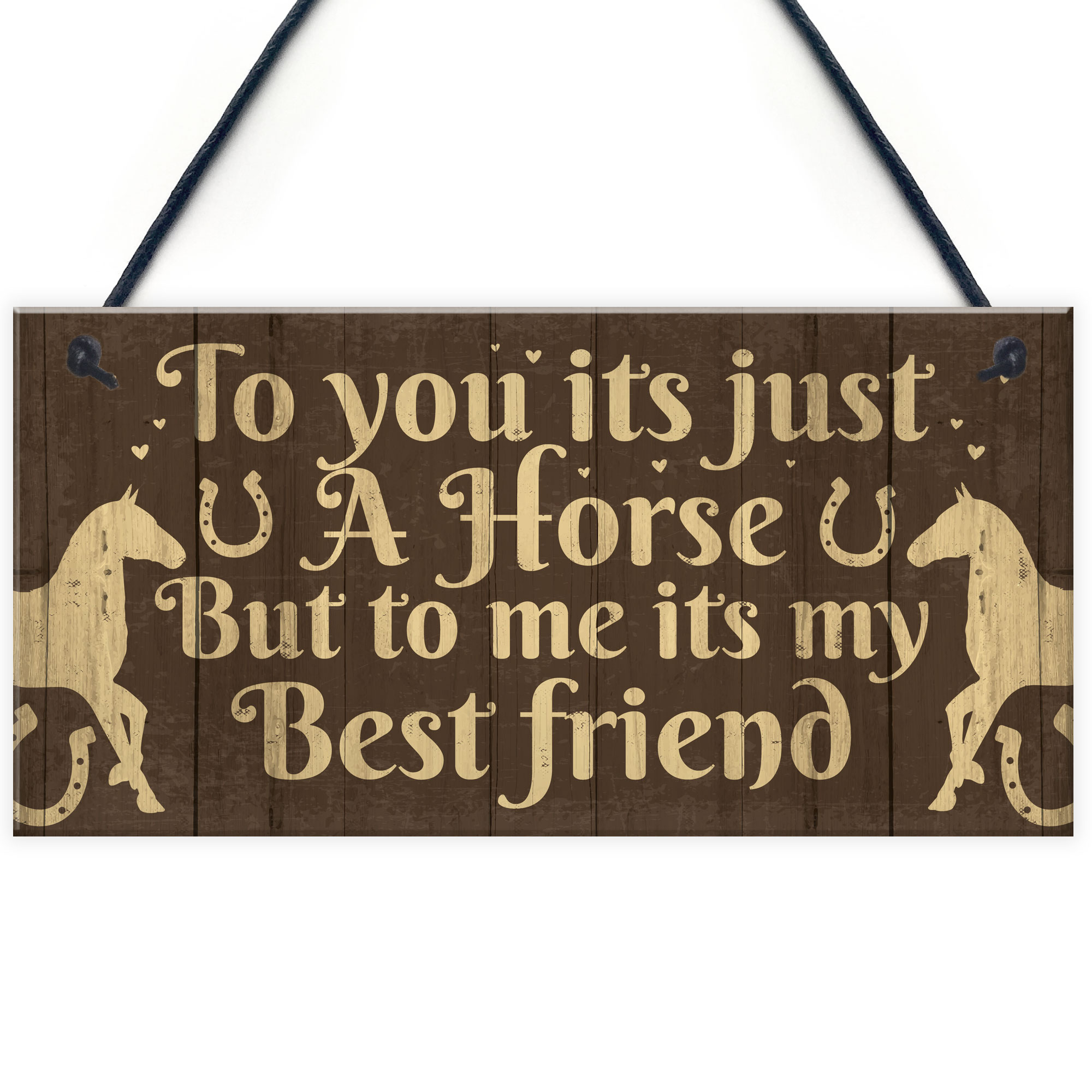 Gift For Horse Lovers Best Friend Sign Horse Gift For Girls Women 