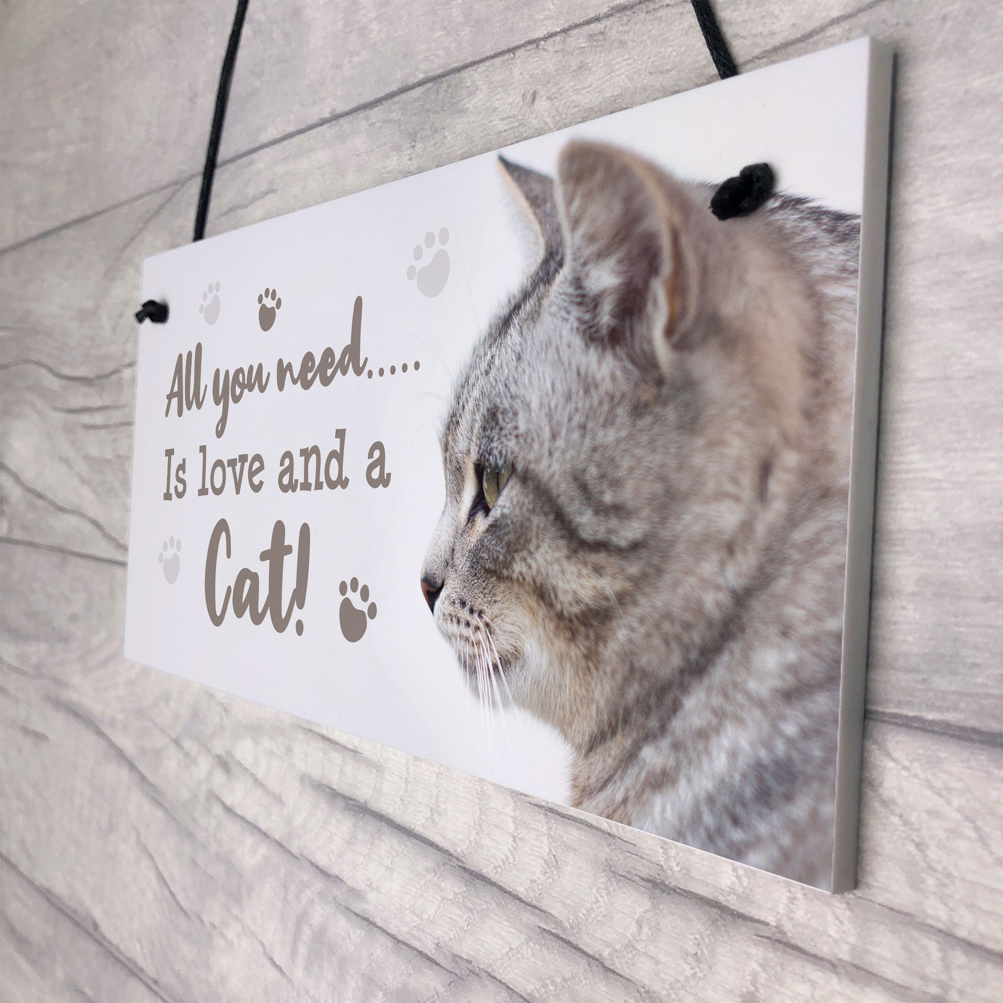 Cat Signs For Home