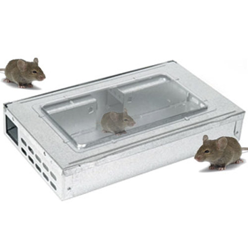 NEW HUMANE METAL MULTI MOUSE TRAP LIVE CATCH 10 MICE... | eBay